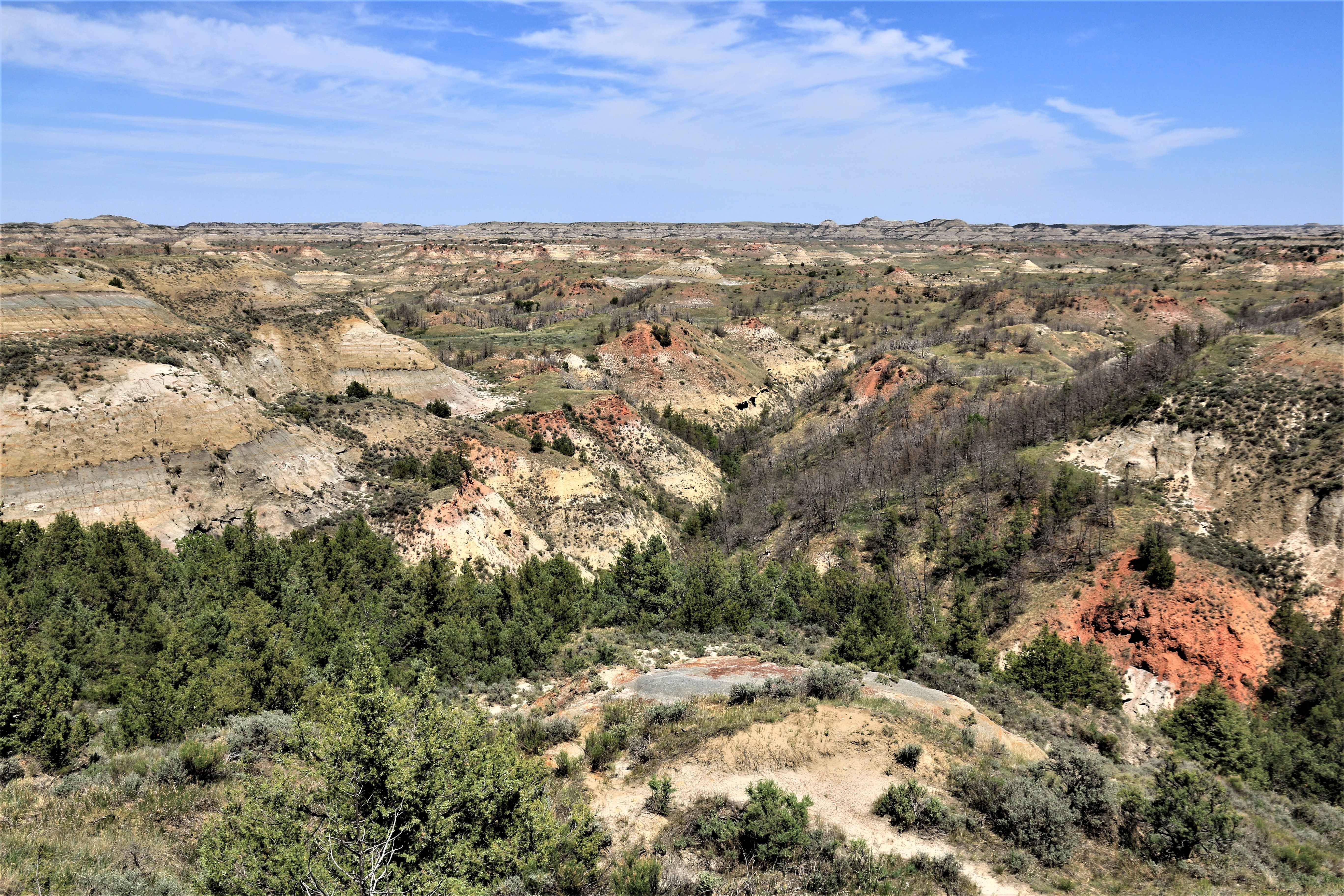 Theodore Roosevelt NP